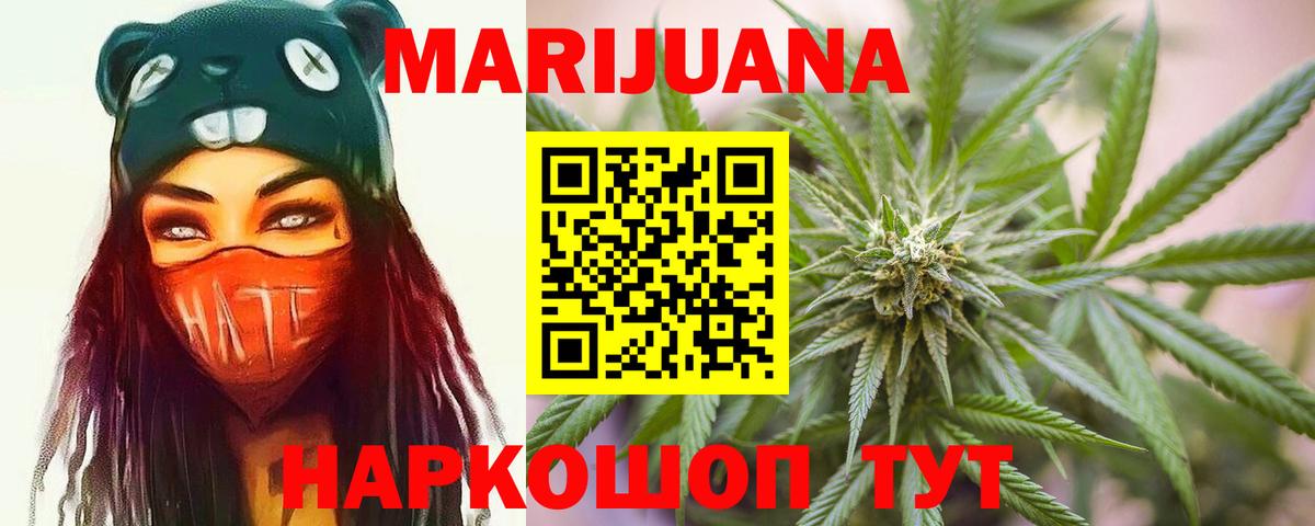 Конопля план Киров