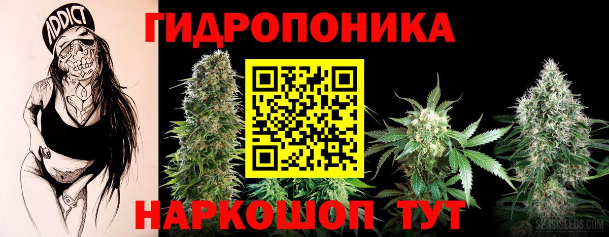 Бошки марихуана Bruce Banner  Канабис тримм  Вход с VPN  Шишки марихуана THC 21%  Конопля Bruce Banner  Киров 